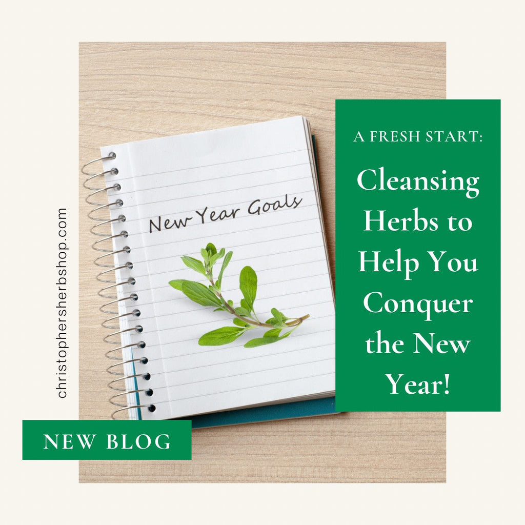 A Fresh Start: Cleansing Herbs to Help You Conquer The New Year