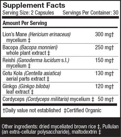 MycoBotanicals® Brain - 60 Vegetarian Capsules - Christopher's Herb Shop